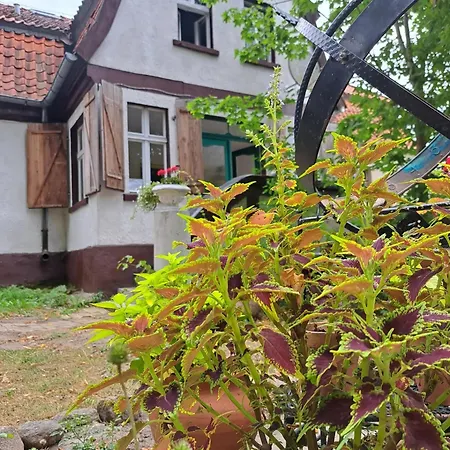 Dom Na Mazurach Pilec- Apartament Exterior photo